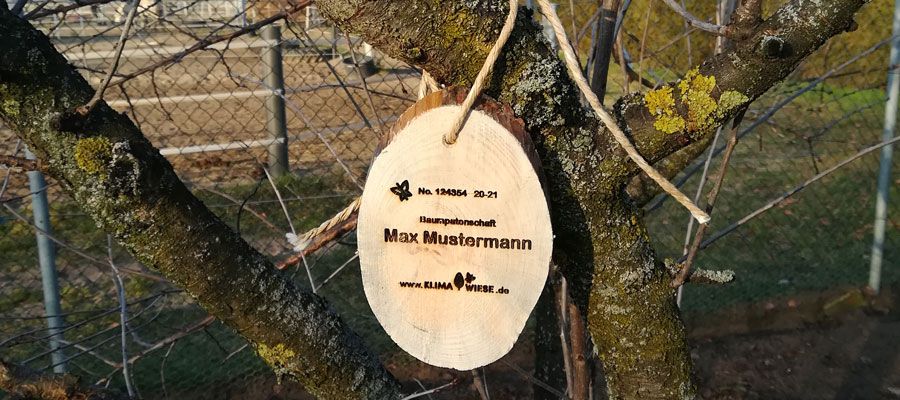 Baumpatenschaft mit personalisierter Holzplakette
