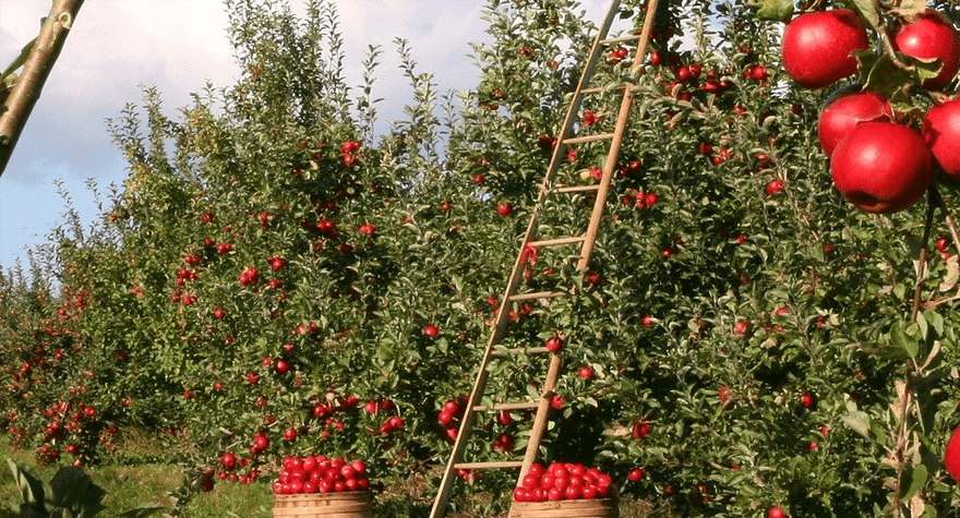 ”Umweltschutz