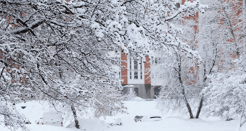 Garten winterfest machen