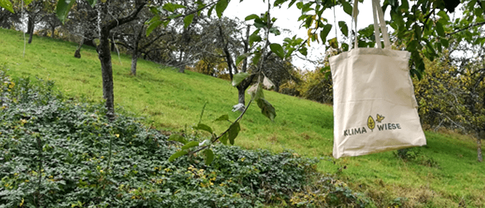 006 3 qm Blühpatenschaft auf Lebenszeit in Weinstadt