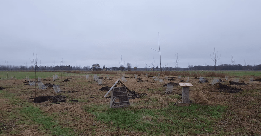 Liebenwalder Naturgarten