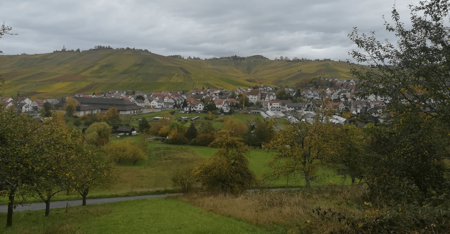 Streuobstwiese Weinstadt