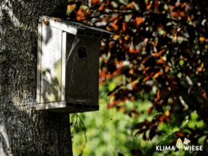 Nistkasten im Herbst reinigen